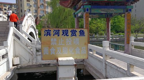 濱河園