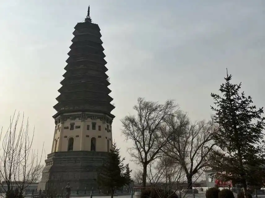 Hotel in zona Chongshou Pagoda