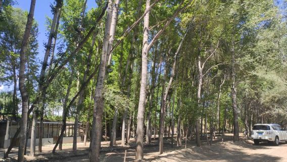 Площадь реки Хуан