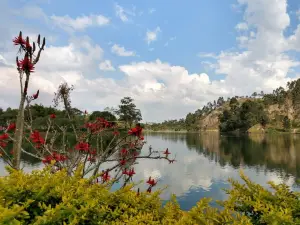 Parque Francisco Rizzo