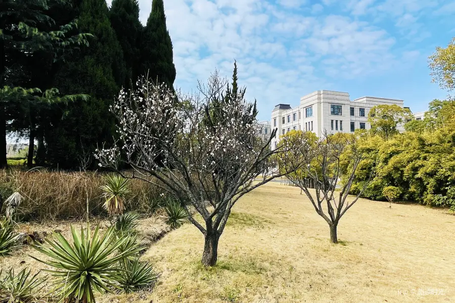 Fudanmingxi Botanical Garden