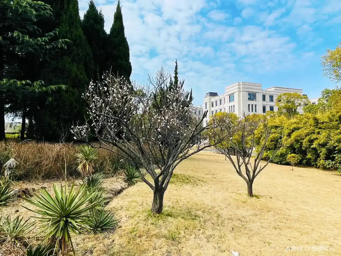 鄰近復旦明溪植物園的酒店