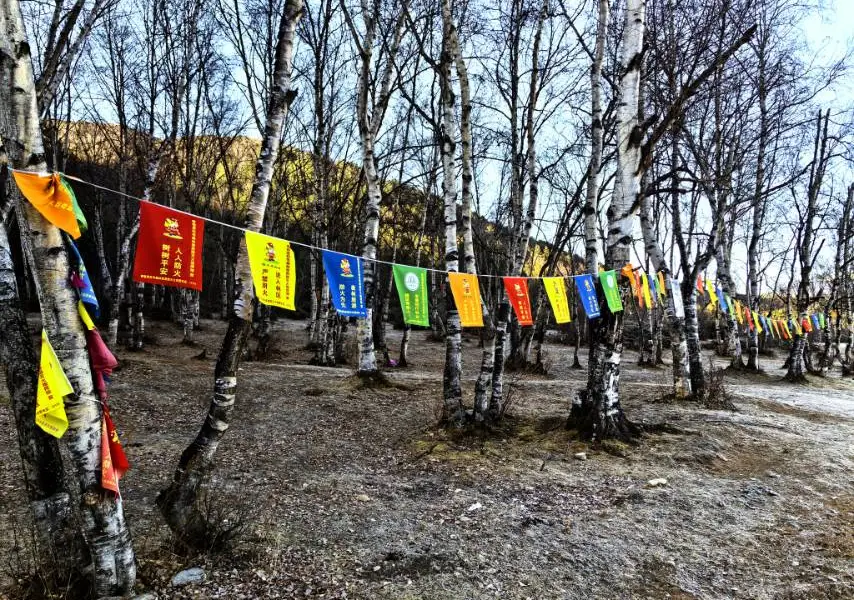 Wufeng Mountain Horse track