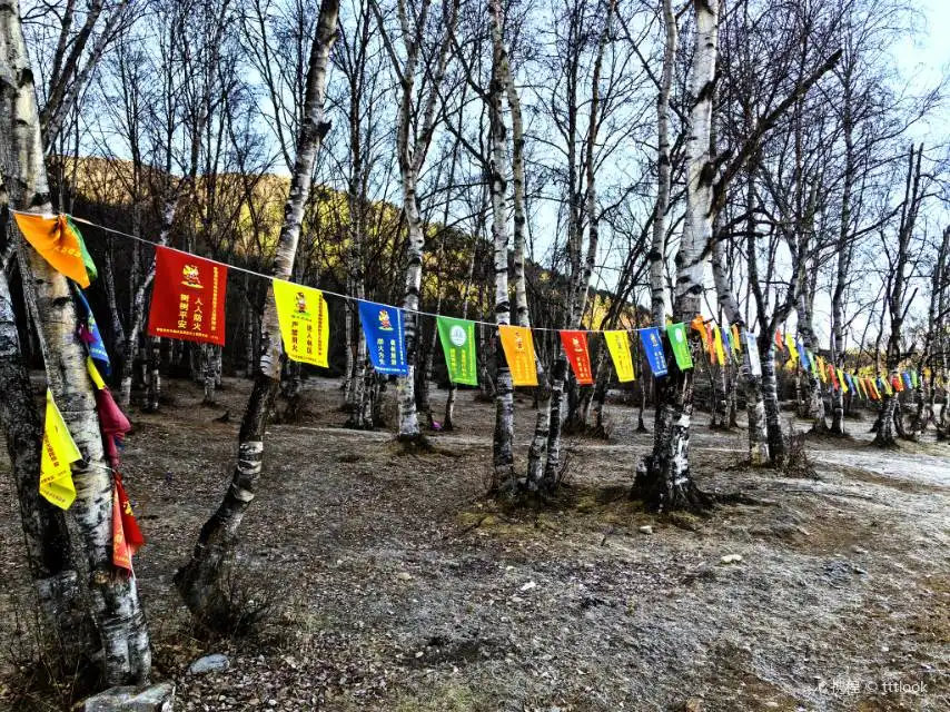 Hotel berhampiran Wufeng Mountain Horse track