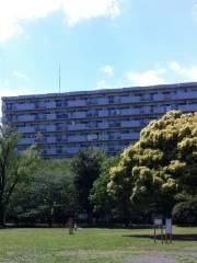 Nerima Ward Natsu-no-Kumo Park