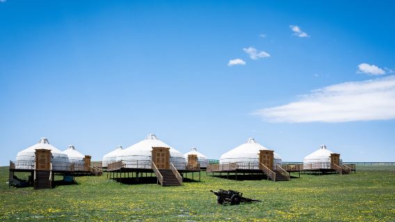 Tianci Grassland