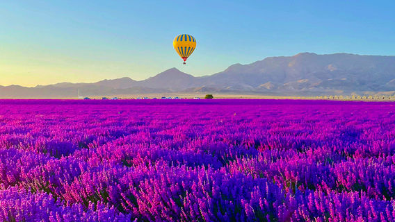 Yili Tianshan Huahai Scenic Area