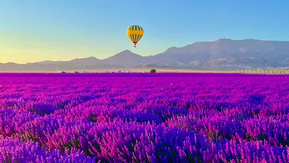 Yili Tianshan Huahai Scenic Area