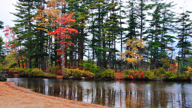 Pawtuckaway State Park
