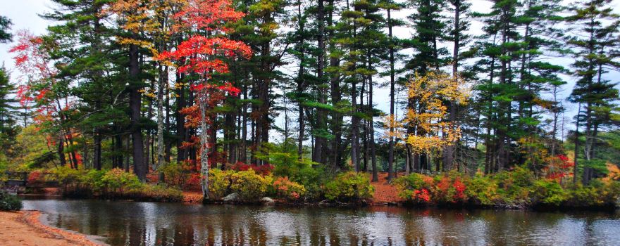 Pawtuckaway State Park