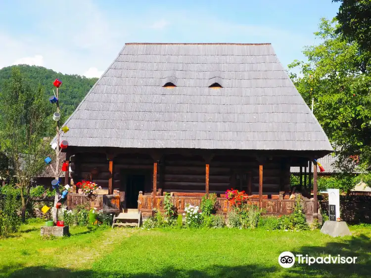 Hotels in Bogdan Voda