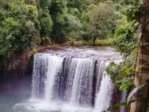 Bolaven Plateau
