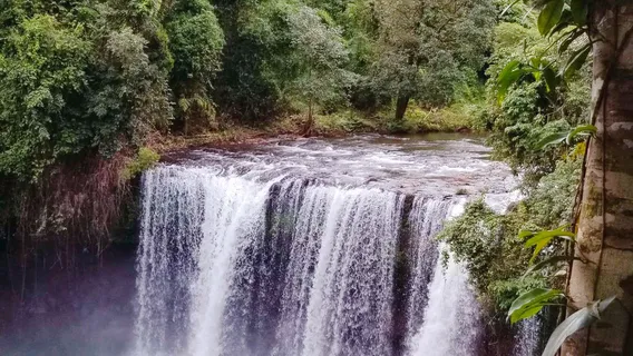 Bolaven Plateau