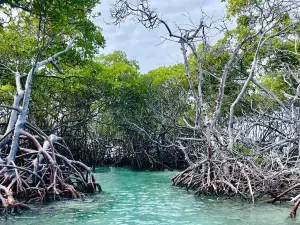 Fondo de Cristal Tours & Boat Rental