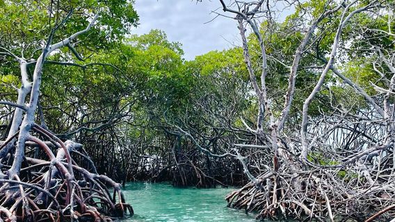 Fondo de Cristal Tours & Boat Rental