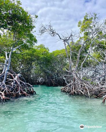 Fondo de Cristal Tours & Boat Rental