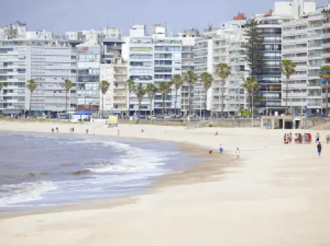 De los Pocitos Beach