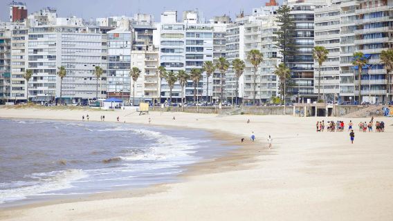 De los Pocitos Beach