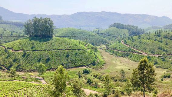 Pothamedu View Point