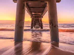 Palm Cove