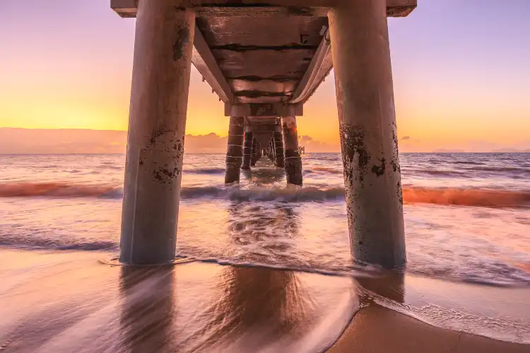 Palm Cove
