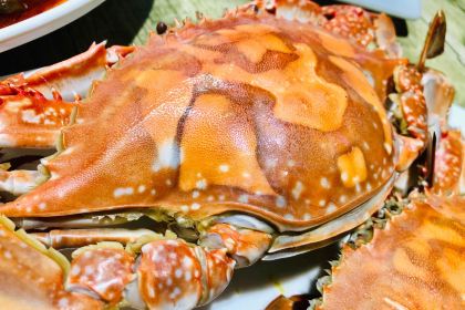 Xugou Seafood Food City