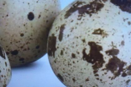 莽三毛肚火锅(酉阳龙湾店)