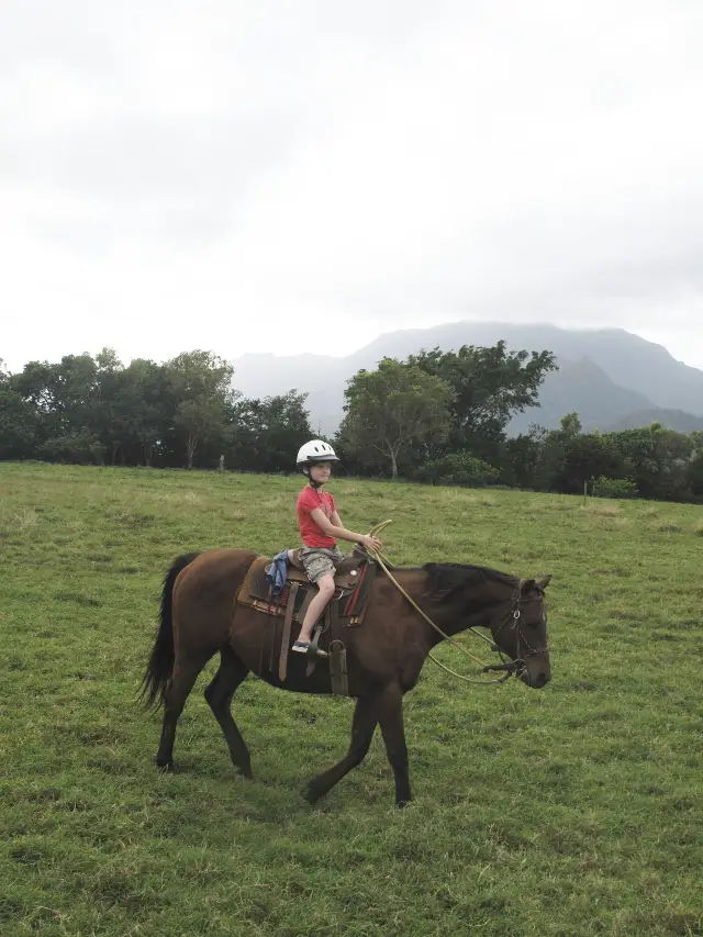 Horse Riding in Hawaii
