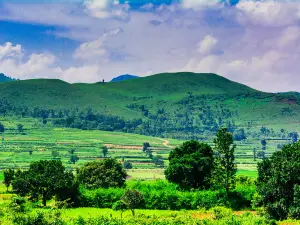 ARAKU VALLEY
