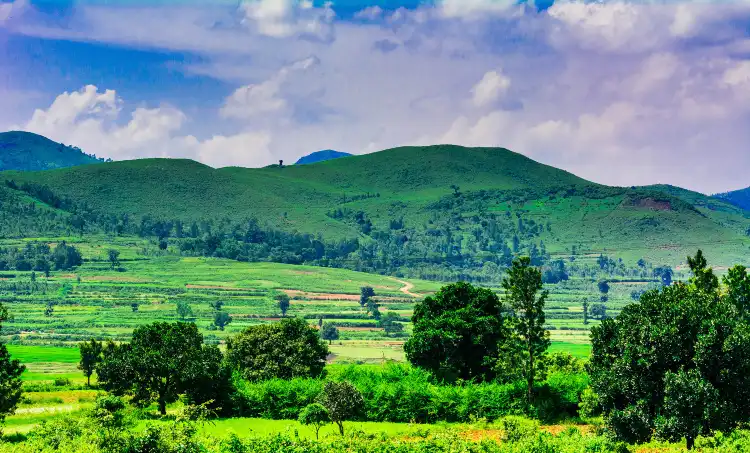 Araku