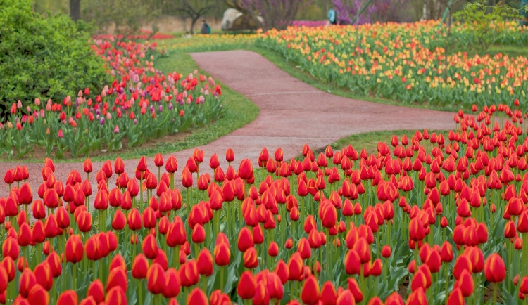 西安植物園新區