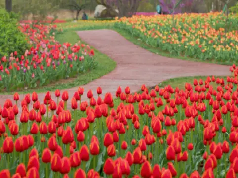 Xi'an Botanical Garden New District