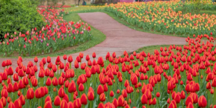 西安植物園新區