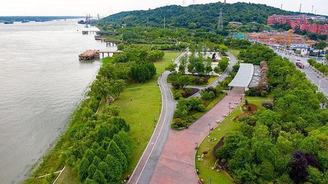 Binjiang Ecology Park