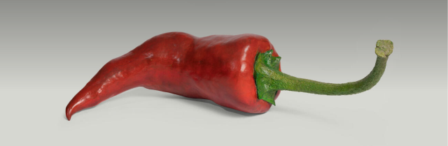Ming Fay: Edge of the Garden | Isabella Stewart Gardner Museum