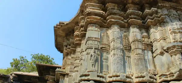 Hotels in Warangal