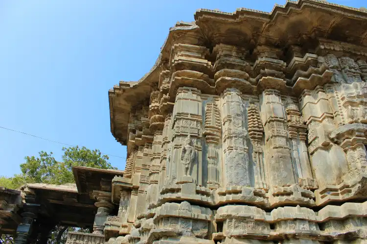 Hotels in Warangal