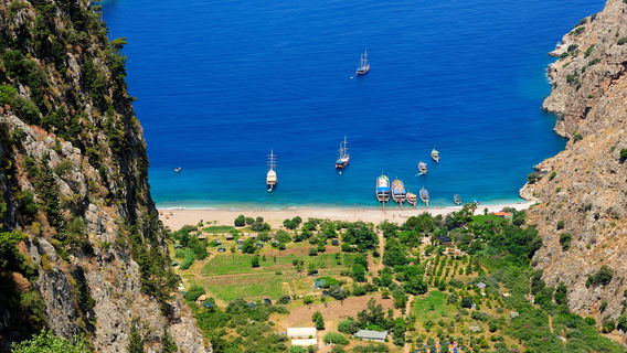 Butterfly Valley