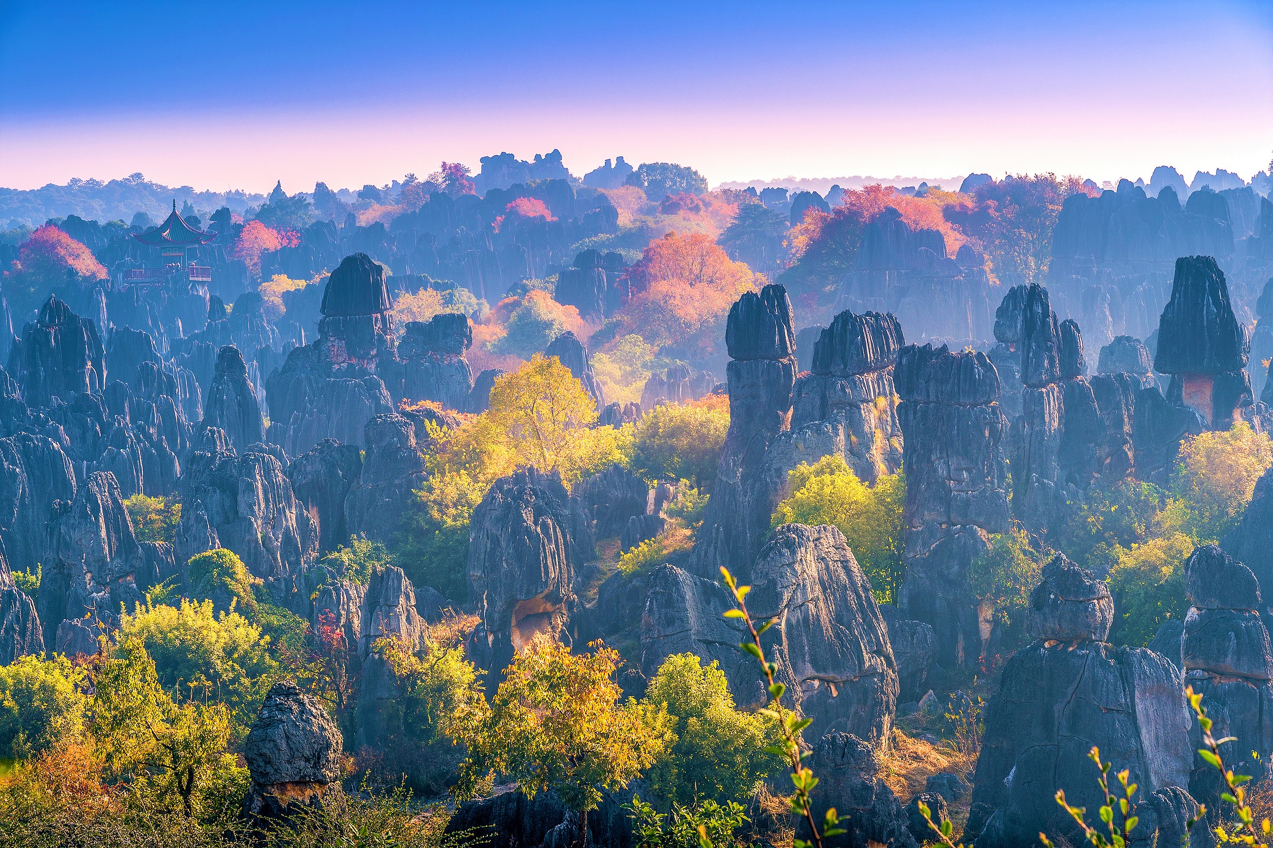 Stone Forest Scenic Area