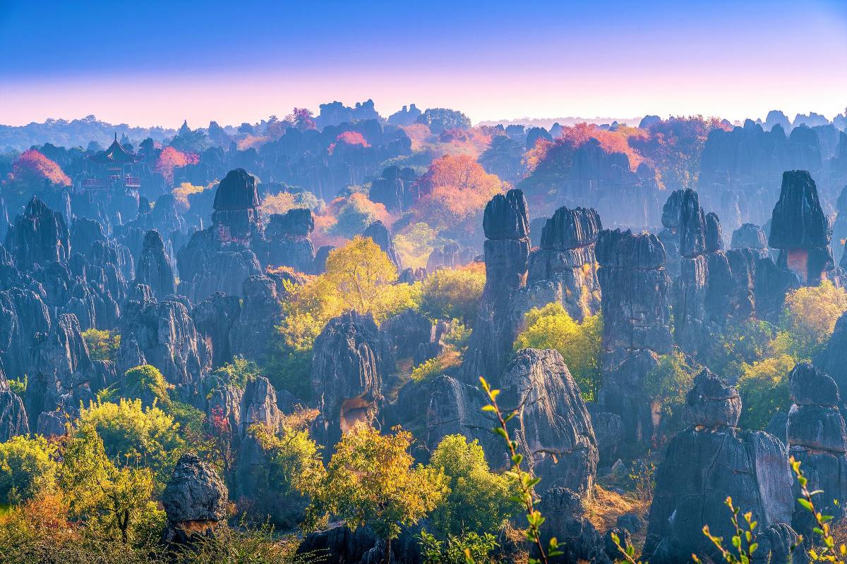 석림 자연 보호구