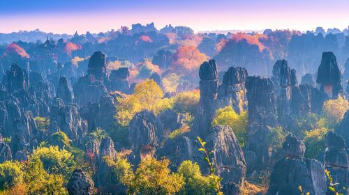 Stone Forest Scenic Area