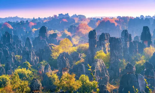 Stone Forest Scenic Area