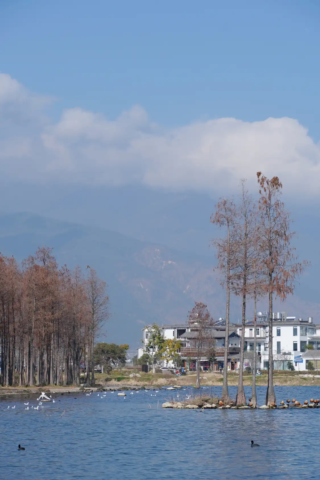 Hotels near Fumei Yi