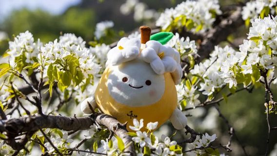 2026 Anshan Pear Blossom Festival