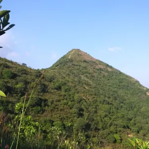 針山