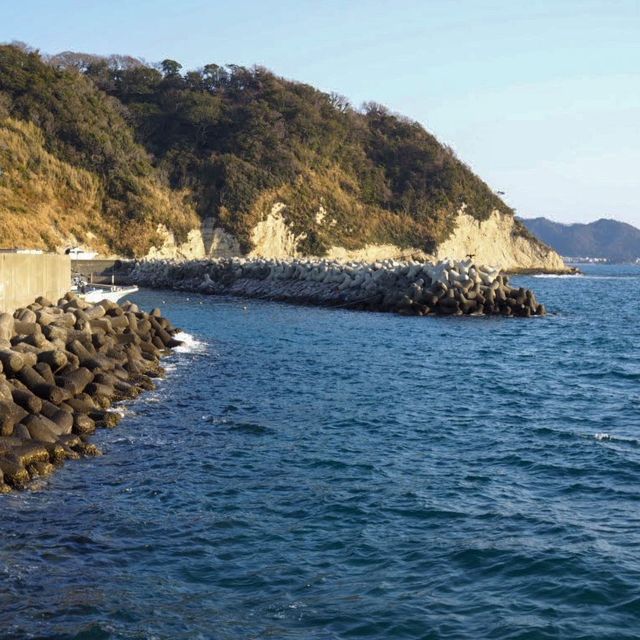【葉山】葉山マリーナで夕日を眺める