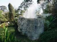Geyser sight seeings anyone?