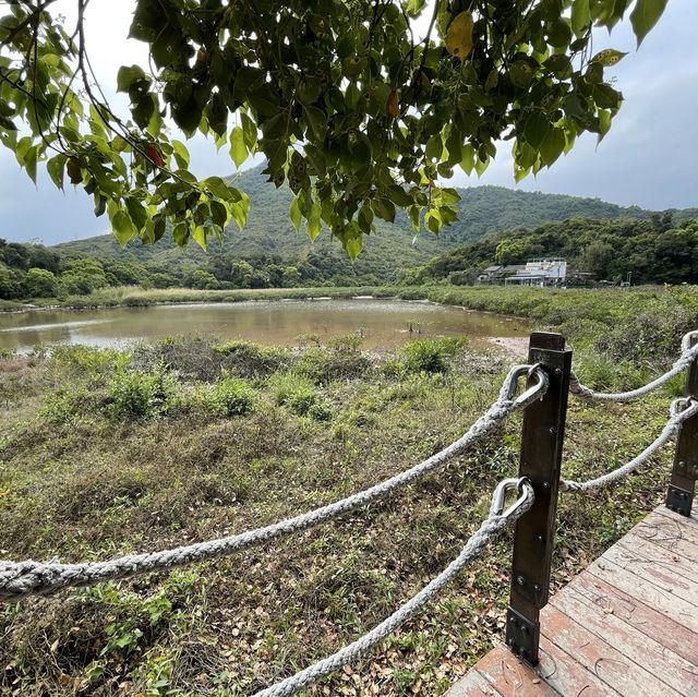 吊燈籠行山