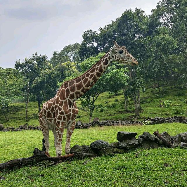 Largest Safari Park in Asia