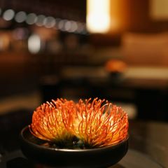 XIA Restaurant User Photo